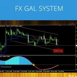 FX Gal System