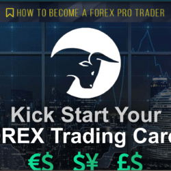 How To Become a Pro Trader course