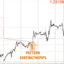 Surfing the Pips video course
