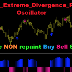 Volume Extreme Divergence Points