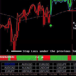 R262 FX Target System
