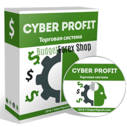 Cyber Profit