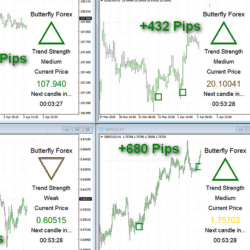 Butterfly Forex