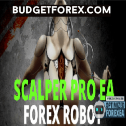 Scalper Pro EA
