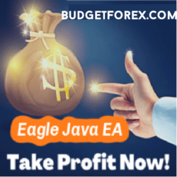 Eagle Java EA