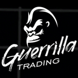 Guerrilla Trading Video Course