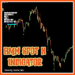 BMM Spot X Indicator